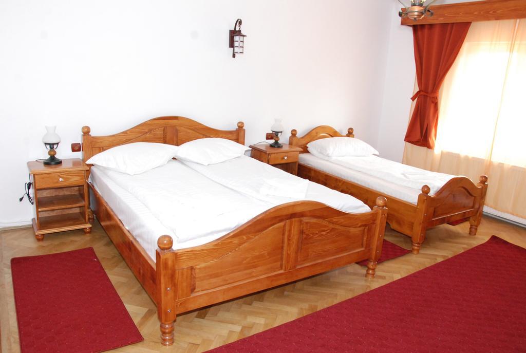 Vila Nicoleta Hotel Sibiu Exterior foto